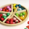 Wooden Toy Cognitive Game